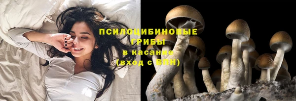гашишное масло Магас