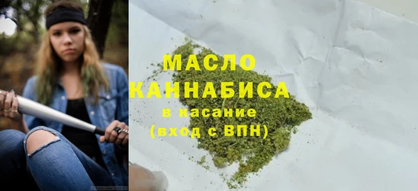 дживик Ельня