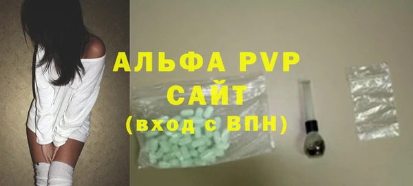 индика Горняк